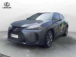 Grigio Usata 2024 Lexus UX 250h SUV | 32.250 € (Molto cara)