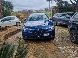 Blu/azzurro Usata 2020 Alfa Romeo Stelvio Business SUV | 27.000 € (Cara)
