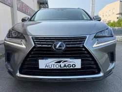 Grigio Usata 2020 Lexus NX300h Business Edition SUV | 23.500 € (Ottimo prezzo)