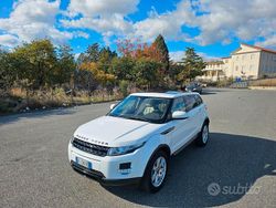 Bianco Usata 2013 Land Rover Range Rover evoque Prestige SUV | 11.999 € (Ottimo prezzo)