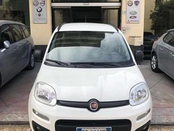 Bianco Usata 2013 Fiat Panda Lounge Due volumi | 6500 € (Molto cara)