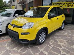 Vari colori Nuova 2025 Fiat Grande Panda Due volumi | 12.990 €