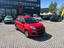 Rosso Usata 2020 Fiat Panda Lounge Due volumi | 11.500 € (Cara)
