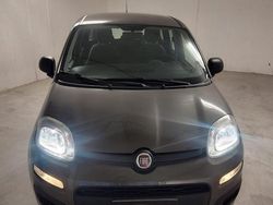 Grigio Usata 2021 Fiat Panda Cross Cross Due volumi | 11.500 € (Buon prezzo)