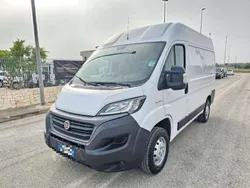 Bianco Usata 2020 Fiat Ducato Furgone | 17.900 € (Ottimo prezzo)