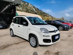 Bianco Usata 2013 Fiat Panda Lounge Due volumi | 5900 € (Ottimo prezzo)