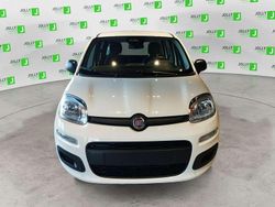 Bianco Nuova 2025 Fiat Panda S Due volumi | 13.500 €