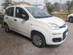 Bianco Usata 2019 Fiat Panda Due volumi | 9000 € (Buon prezzo)