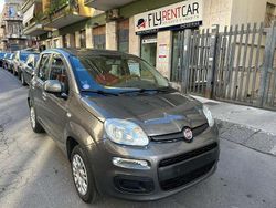 Grigio Usata 2020 Fiat Panda Easy Due volumi | 8600 € (Buon prezzo)
