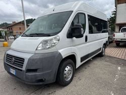 Bianco Usata 2014 Fiat Ducato Furgone | 16.900 € (Cara)