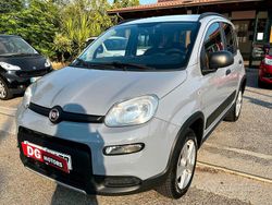 Grigio Usata 2017 Fiat Panda 4x4 Lounge Due volumi | 10.999 €