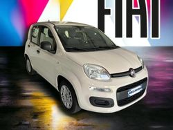 Bianco Usata 2018 Fiat Panda Easy Due volumi | 8900 € (Buon prezzo)