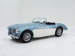 Altri Usata 1954 Austin Healey 100 Cabrio | 75.000 €