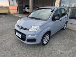Grigio Usata 2019 Fiat Panda Easy Tre volumi | 8800 € (Buon prezzo)