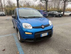 Blu Usata 2023 Fiat Panda Tre volumi | 11.500 € (Buon prezzo)
