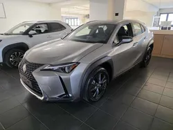 Argento Nuova 2025 Lexus UX 300h SUV | 31.990 €