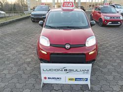 Grigio Usata 2024 Fiat Panda Due volumi | 14.800 € (Molto cara)