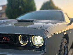 Grigio Usata 2019 Dodge Challenger Coupé | 36.499 €