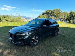 Grigio Usata 2020 Ford Kuga SUV | 19.800 € (Buon prezzo)