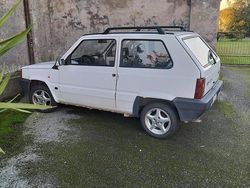 Usata 2003 Fiat Panda Tre volumi | 1000 €