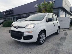 Bianco Nuova 2025 Fiat Panda S Due volumi | 13.900 €