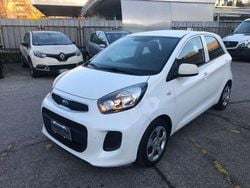 Bianco Usata 2016 Kia Picanto Active Due volumi | 6800 € (Ottimo prezzo)