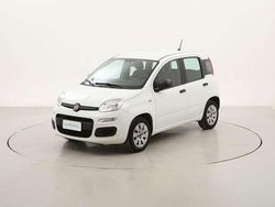 Bianco Usata 2020 Fiat Panda Pop Due volumi | 7490 € (Super prezzo)