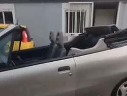 Grigio Usata 1995 Fiat Punto Cabriolet S Cabrio | 4800 €