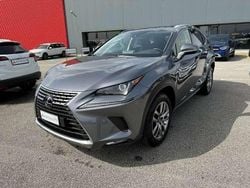 Grigio Usata 2019 Lexus NX300h Business Edition SUV | 22.500 € (Ottimo prezzo)