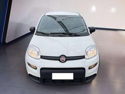 Bianco Usata 2024 Fiat Panda Due volumi | 11.500 € (Buon prezzo)