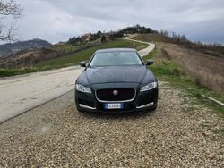Verde Usata 2016 Jaguar XF Tre volumi | 15.300 € (Buon prezzo)