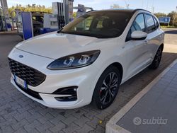 Bianco Usata 2020 Ford Kuga ST-Line SUV | 23.500 € (Molto cara)