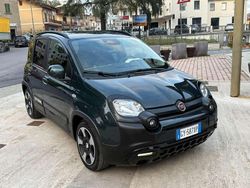 Verde Usata 2025 Fiat Panda Cross Cross Due volumi | 14.800 € (Buon prezzo)
