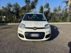 Bianco Usata 2020 Fiat Panda Pop Due volumi | 10.200 € (Buon prezzo)