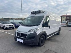 Bianco Usata 2016 Fiat Ducato Furgone | 9900 € (Buon prezzo)