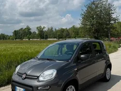 Usata 2023 Fiat Panda Due volumi | 10.800 € (Buon prezzo)