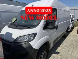 Bianco Usata 2023 Fiat Ducato Furgone | 15.500 € (Super prezzo)