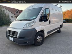 Bianco Usata 2009 Fiat Ducato Furgone | 8400 € (Ottimo prezzo)
