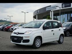 Bianco divino Nuova 2025 Fiat Grande Panda Due volumi | 14.000 € (Buon prezzo)