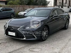 Grigio Usata 2022 Lexus ES300 Executive Line Tre volumi | 37.900 €