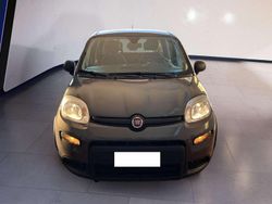 Other Usata 2023 Fiat Panda S Tre volumi | 12.500 € (Buon prezzo)