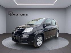 Nero Usata 2024 Fiat Panda Icon Due volumi | 12.399 € (Buon prezzo)