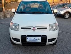 Bianco Usata 2011 Fiat Panda 4x4 Climbing Due volumi | 7950 € (Buon prezzo)