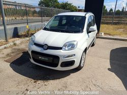 Bianco Usata 2014 Fiat Panda Lounge Due volumi | 7500 € (Cara)