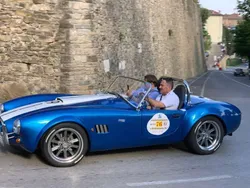 Usata 1991 AC Cobra Cabrio | 44.000 €