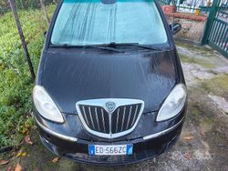 Marrone Usata 2010 Lancia Musa Platinum Monovolume | 2000 €