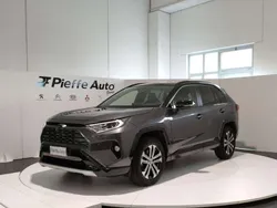 Grigio Usata 2019 Toyota RAV4 Hybrid Lounge SUV | 29.900 € (Cara)