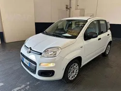 Bianco Usata 2019 Fiat Panda Easy Due volumi | 9490 € (Buon prezzo)