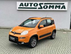 Arancione Usata 2017 Fiat Panda 4x4 S Due volumi | 12.900 € (Cara)