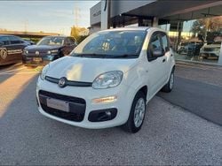 Bianco Usata 2020 Fiat Panda Easy Due volumi | 8400 € (Buon prezzo)
